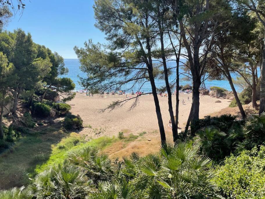 Miami Playa Precioso Apto Miami Primera Linia Playa Cala De Las Sirenas, Con Wifi Y Netflix, Adecuado Para Teletrabajar מראה חיצוני תמונה